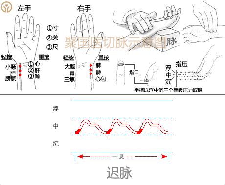 脈相 浮滑